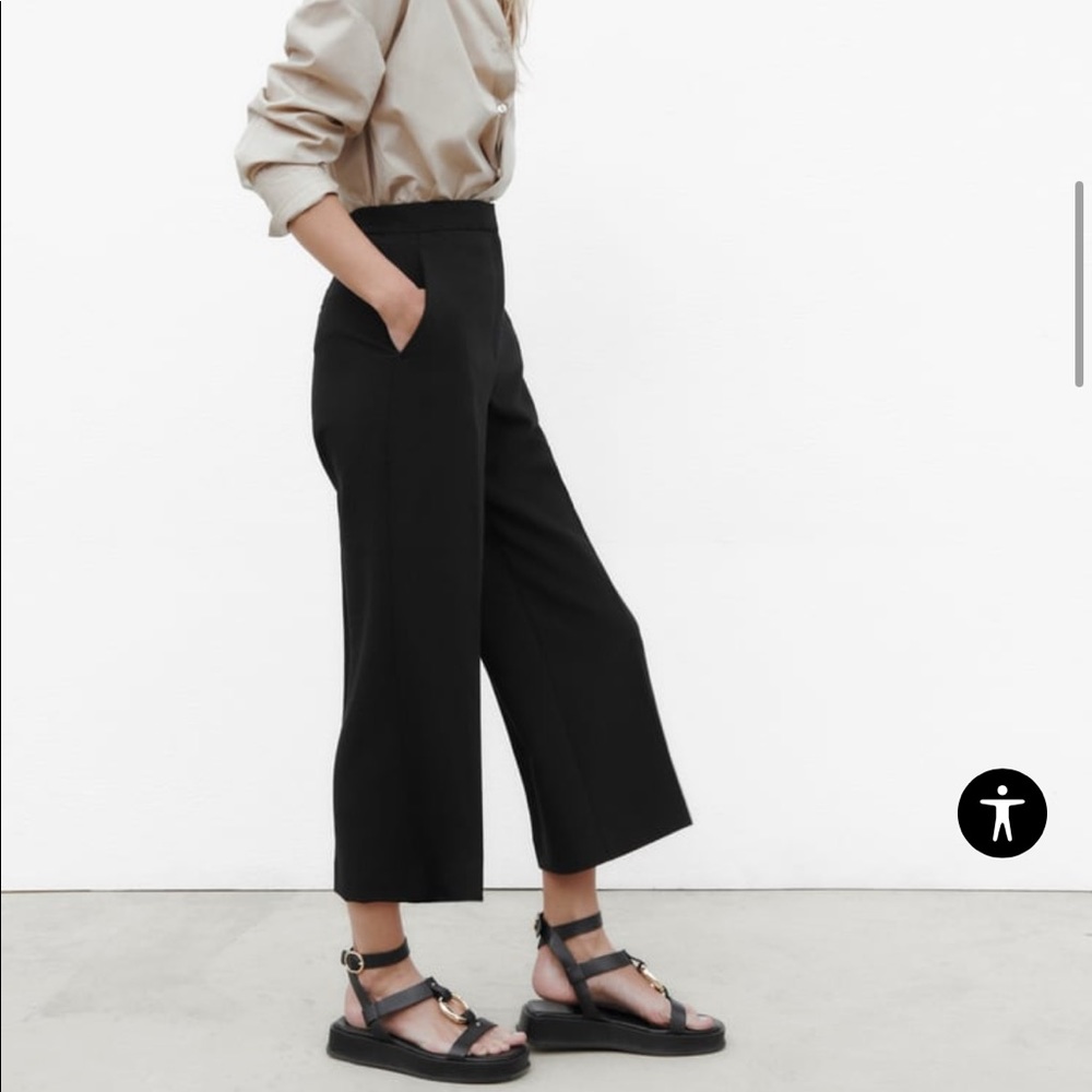 NWT Zara Wide Leg Pants